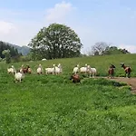 Vakantiehuisje Winterberg * Βίντερμπεργκ
