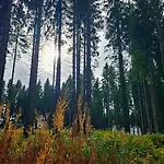 Vakantiehuisje Winterberg *