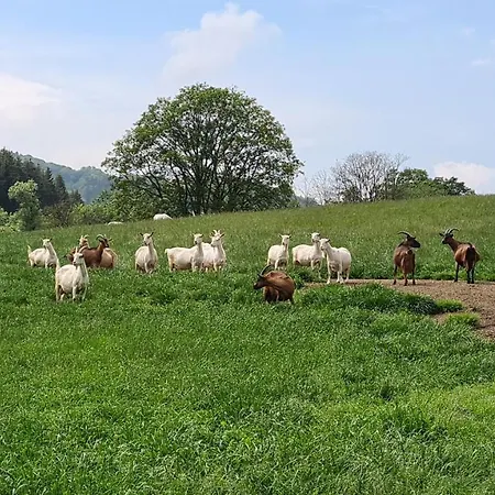 Vakantiehuisje Winterberg * ヴィンターベルク