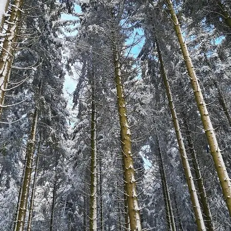 Lejlighed Vakantiehuisje Winterberg