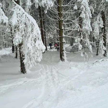 Апартаменти Vakantiehuisje Winterberg