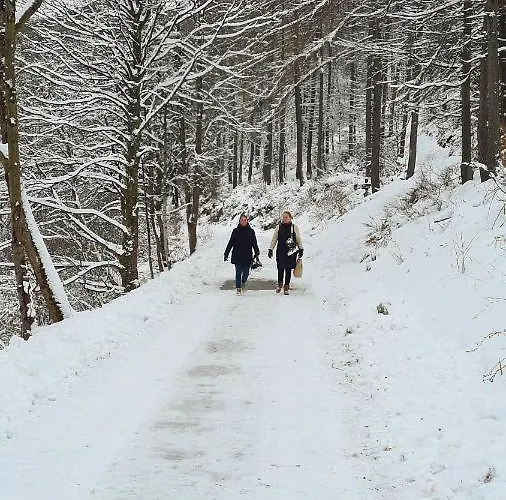 Vakantiehuisje Winterberg