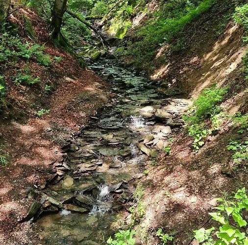 Apartment Vakantiehuisje Winterberg Winterberg