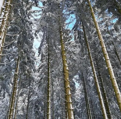 Daire Vakantiehuisje Winterberg