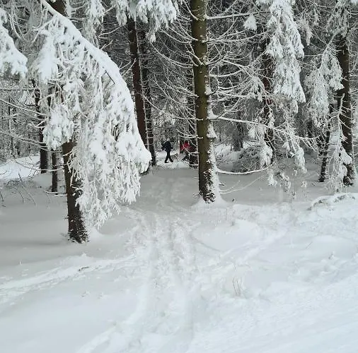 Daire Vakantiehuisje Winterberg