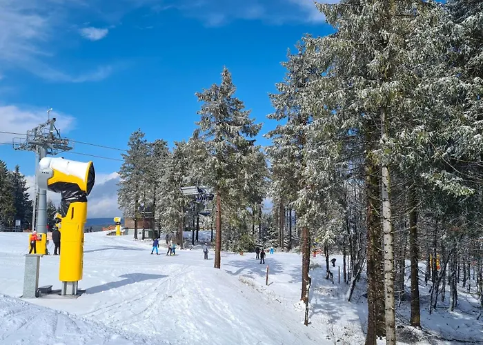 Vakantiehuisje Winterberg Apartment Winterberg