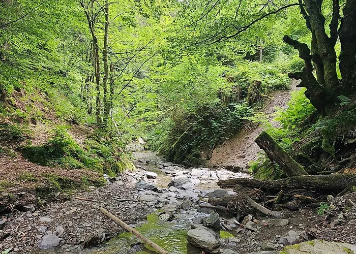 Vakantiehuisje Winterberg Apartment *