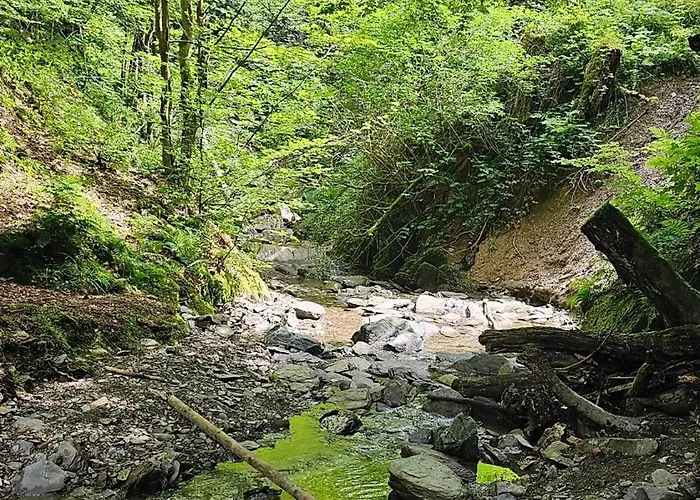 Vakantiehuisje Winterberg Apartman Winterberg